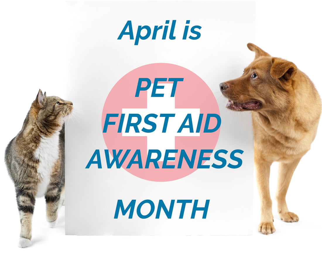 Celebrating Pet First Aid Awareness Month!