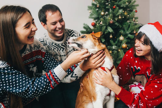Pet-iquette Guide for Holiday Gatherings