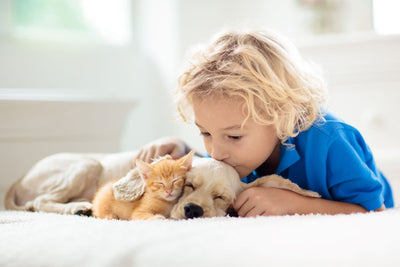 Puppies and Kittens: Essential Tips for A Healthy Start