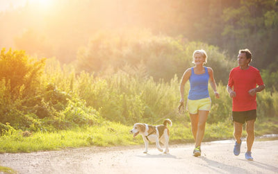 5 Fun Outdoor Activities to Boost Your Dog's Health and Happiness