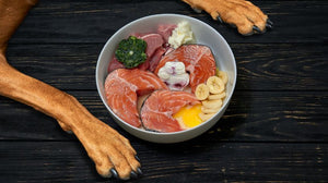 Raw Diets for Dogs: A Quick Guide to Get Started