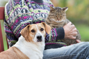Adopting Senior Pets: Tips & Benefits for these Pawsome Companions