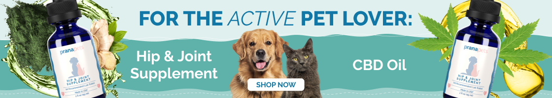 Desktop Collection Banner