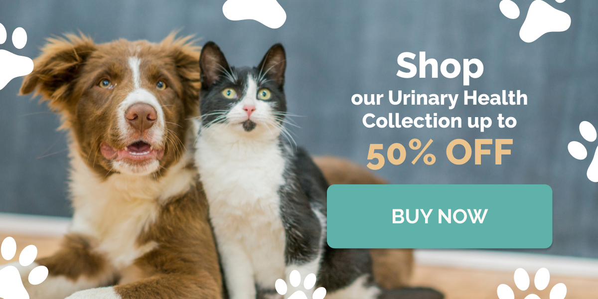 Mobile Collection Banner