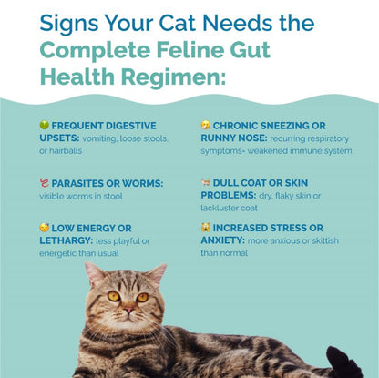 Complete Feline Gut Health Regimen