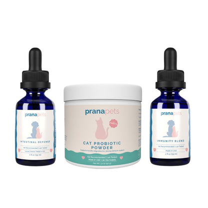 Complete Feline Gut Health Regimen