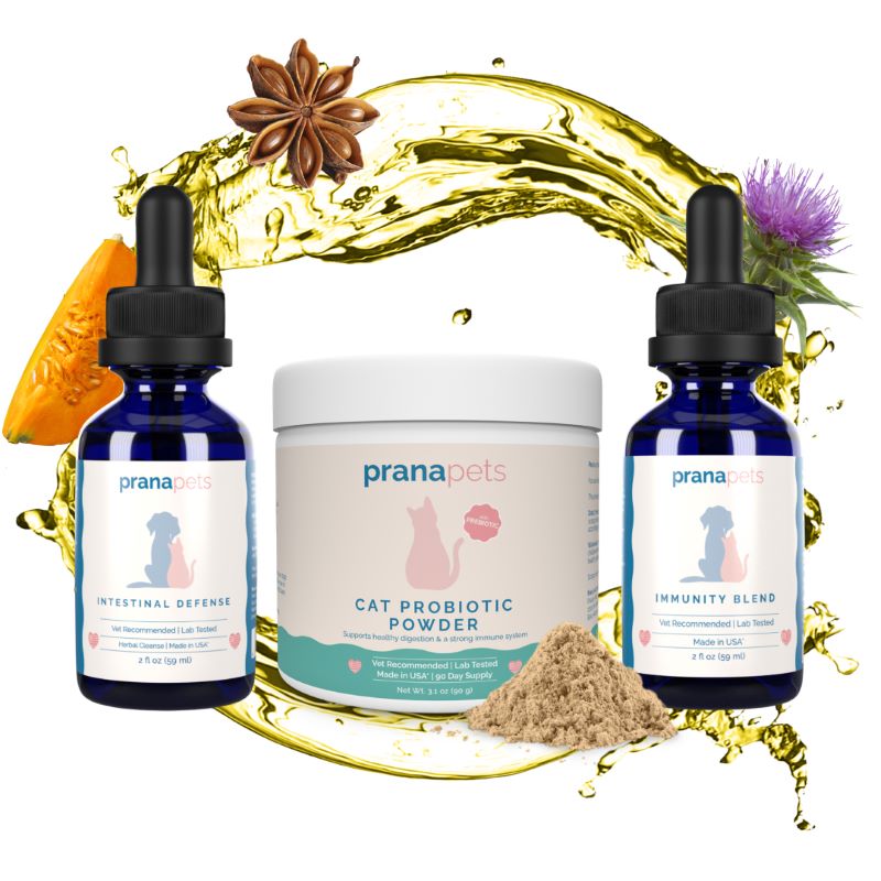 Complete Feline Gut Health Regimen