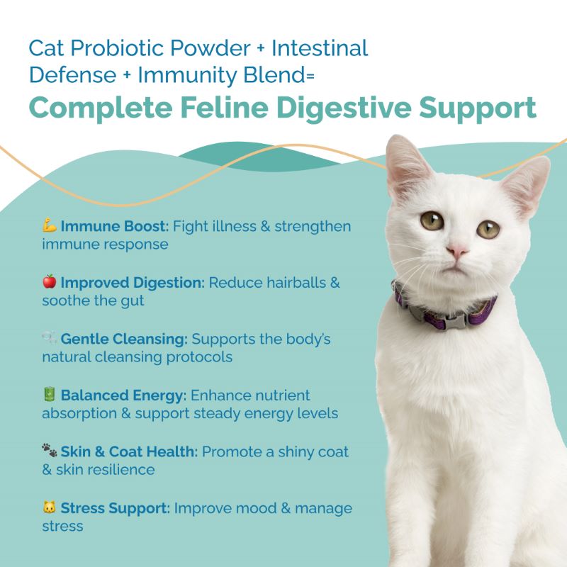 Complete Feline Gut Health Regimen