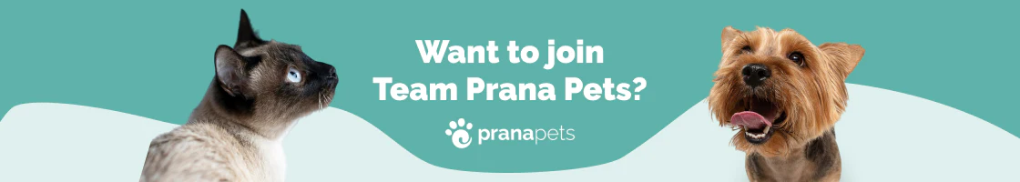 Prana Pets Careers - 