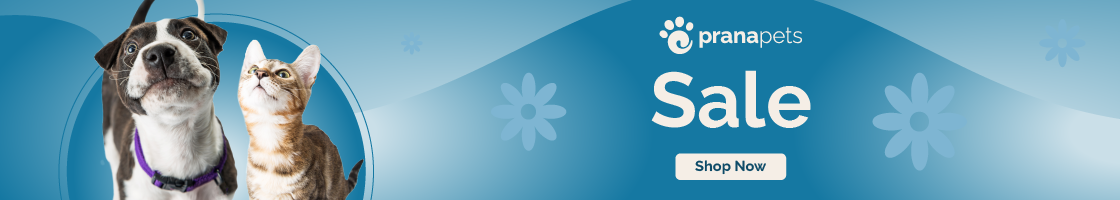 Desktop Collection Banner