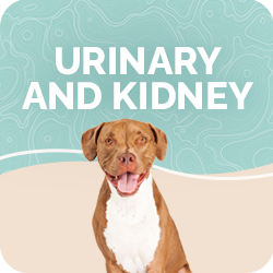 Urinary & Kidney Supplements for Dogs