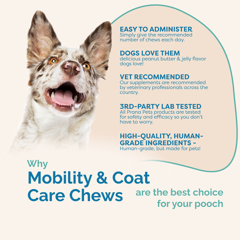 Mobility & Coat Care Chews for Dogs