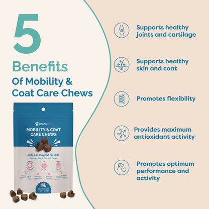 Mobility & Coat Care Chews for Dogs - 60 Ct