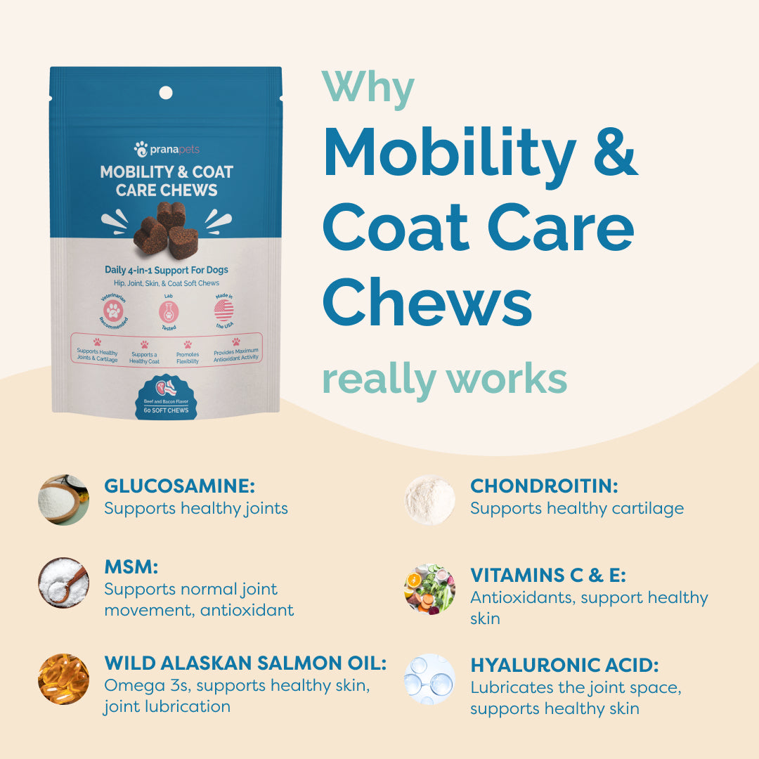 Package of mobility and coat care chews with benefits listed on a beige background