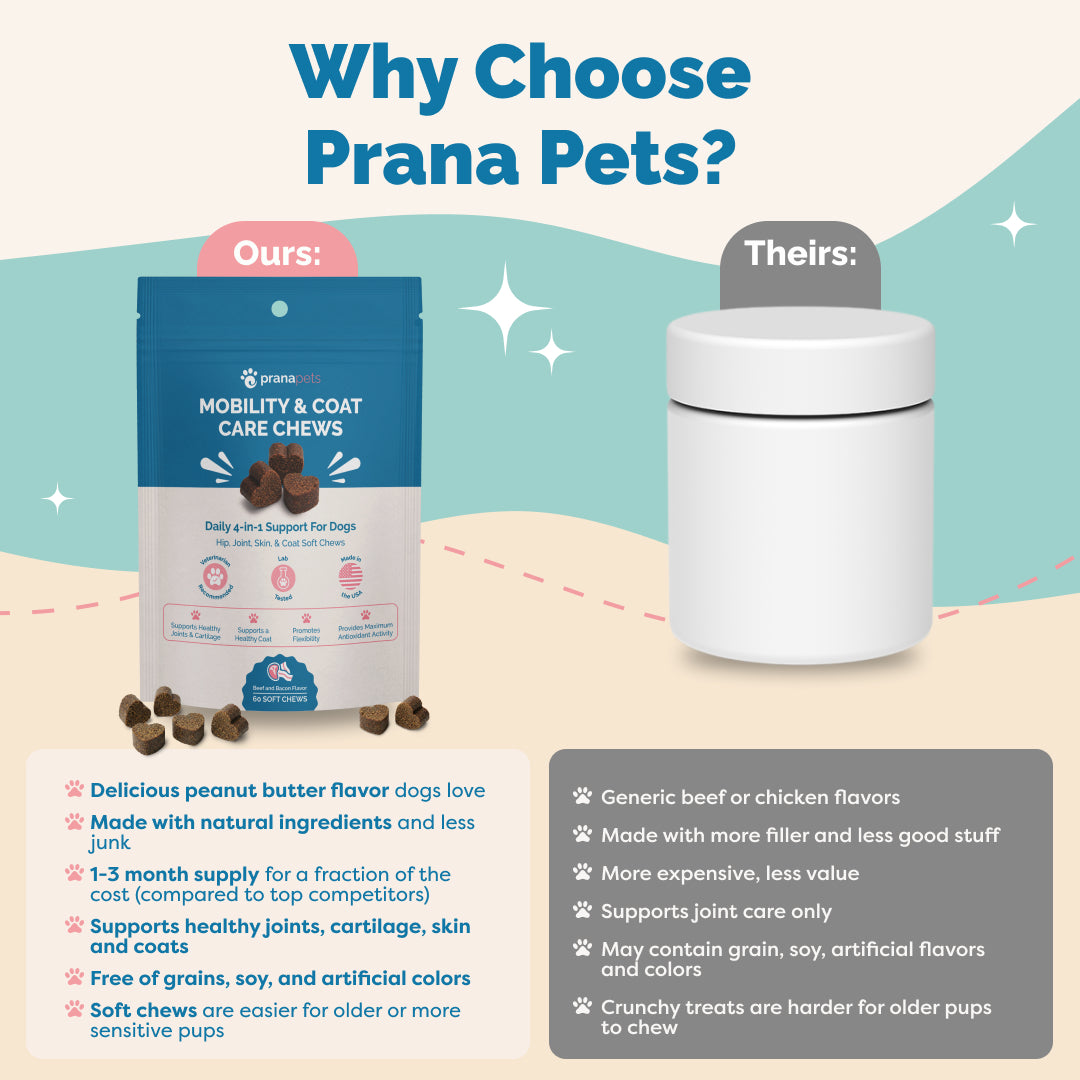 Mobility & Coat Care Chews for Dogs - 60 Ct