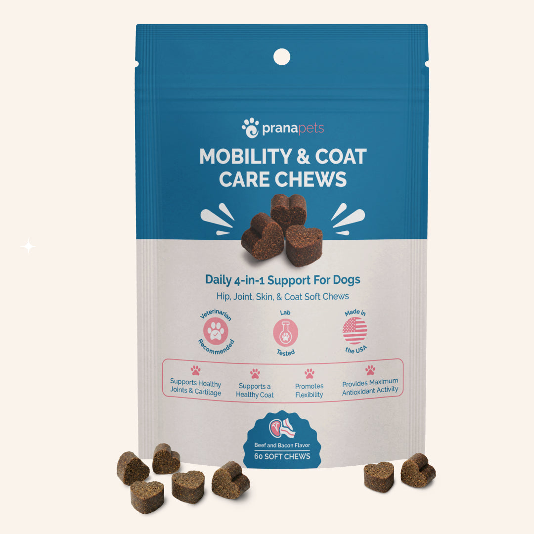 Mobility & Coat Care Chews for Dogs - 60 Ct