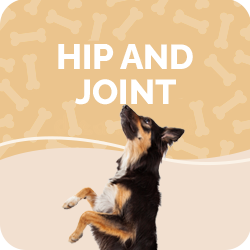 Hip & Joint Supplements Dogs