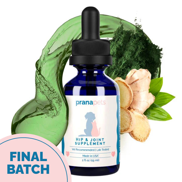 Hip & Joint Health Support with Glucosamine for Dogs