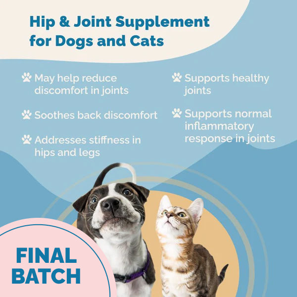 Hip & Joint Health Support with Glucosamine for Dogs
