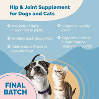 Thumbnail for Hip & Joint Health Support with Glucosamine for Dogs