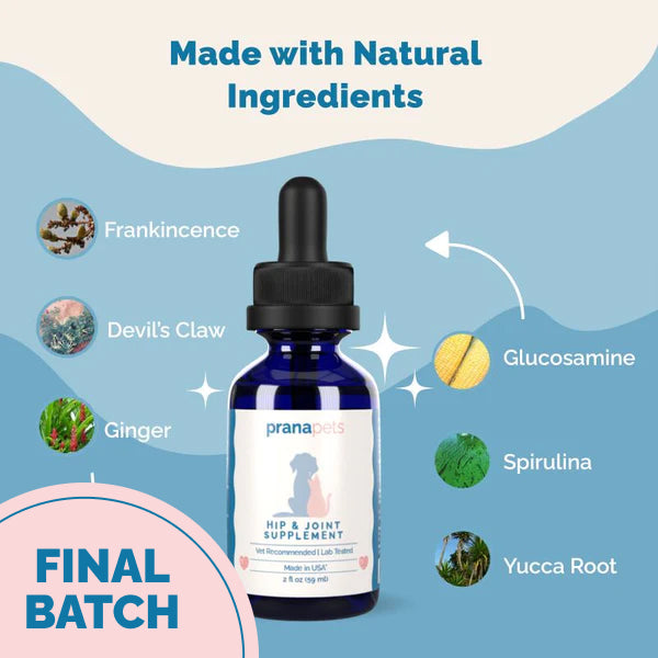 Hip & Joint Health Support with Glucosamine for Dogs