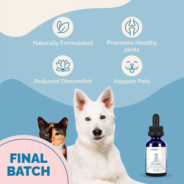 Hip & Joint Health Support with Glucosamine for Dogs