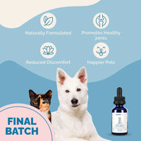 Thumbnail for Hip & Joint Health Support with Glucosamine for Dogs