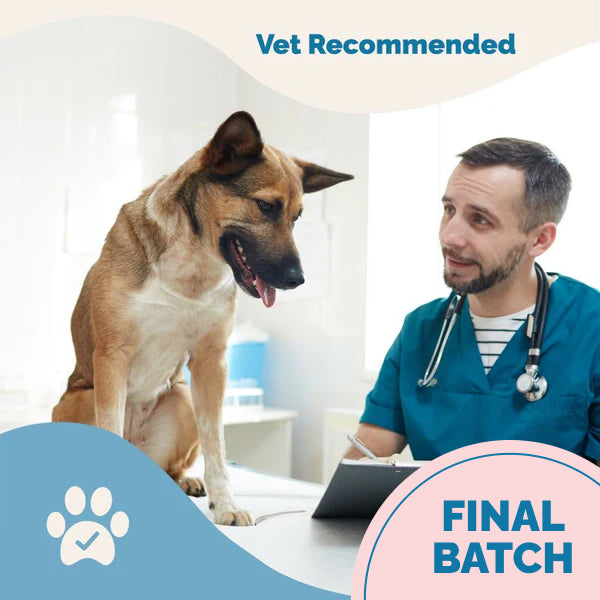 Hip & Joint Health Support with Glucosamine for Dogs