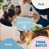 Thumbnail for Hip & Joint Health Support with Glucosamine for Dogs