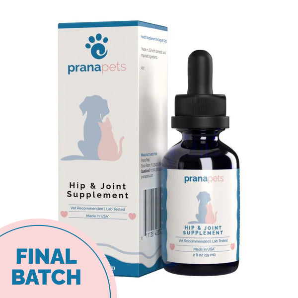 Hip & Joint Health Support with Glucosamine for Dogs