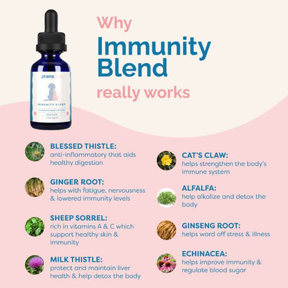 Complete Feline Gut Health Regimen