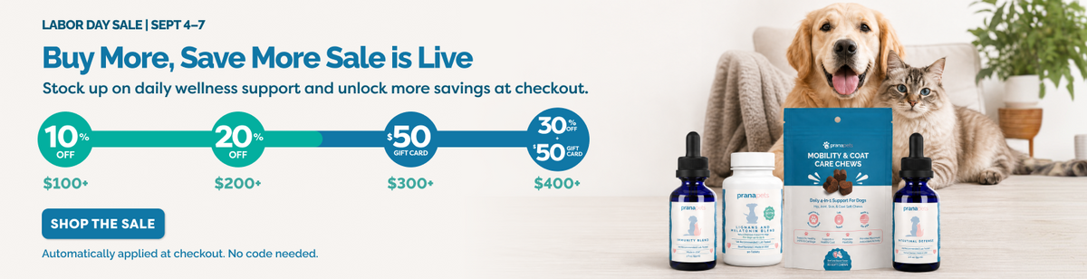 Promotional banner for Pet Health Essentials featuring a dog and cat in a living room setting next to several pet supplement bottles and a box. The banner includes a labor day sale timeline with discount percentages and text reading 'Buy More, Save More Sale is Live'.
