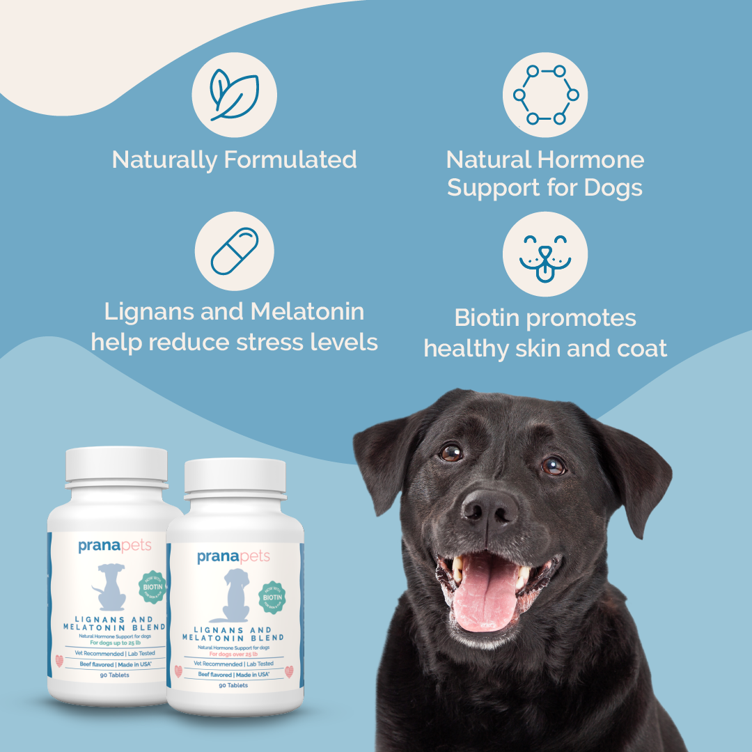 Melatonin for dogs hair loss online