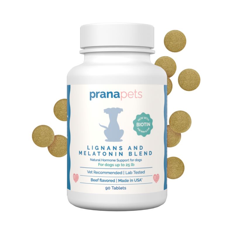 Melatonin for dogs with cushings clearance