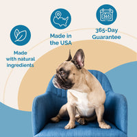 Thumbnail for Mobility & Coat Care Chews for Dogs