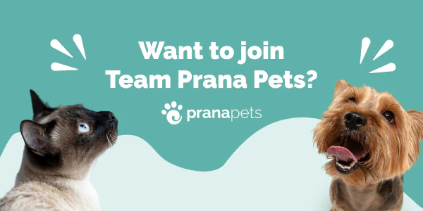 Prana Pets Careers - 