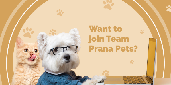 Mobile Banner for page Marketing Operations Assistant Job Description