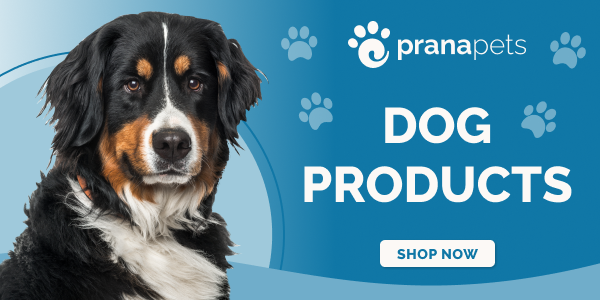 Melatonin for Dogs Uses Benefits Dosage Side Effects Prana Pets