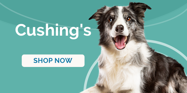 Benefits of Biotin for Dogs Prana Pets