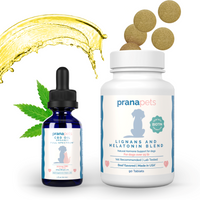 Thumbnail for Zen Pack for Dogs