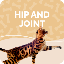 Hip & Joint Supplements for Cats