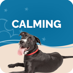 Anxiety & Calming Supplements for Dogs
