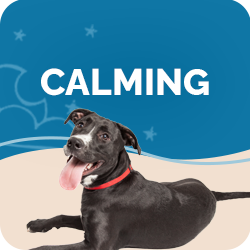 Holistic treatment for sales dogs with cushing's disease