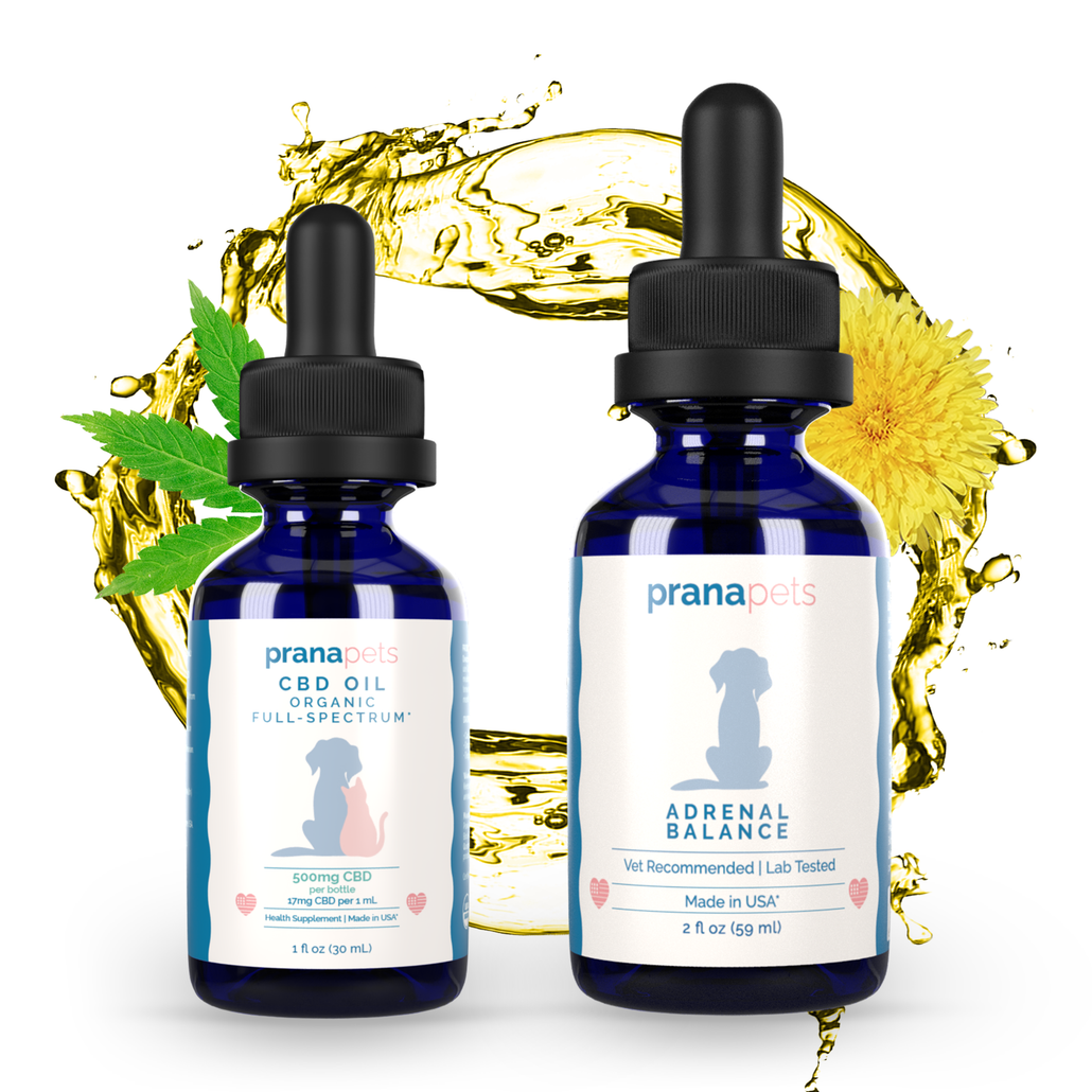 Cushings Symptom Pack
