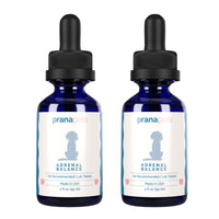 Thumbnail for Adrenal Support for Dogs with Cushing's