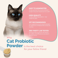 Thumbnail for cat probiotic powder vet recommended high quality best ingredients