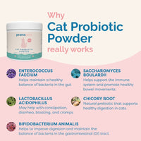 Thumbnail for cat probiotic powder ingredients Enterococcus faecium, Lactobacillus acidophilus, Bifidobacterium animalis, and Saccharomyces boulardii