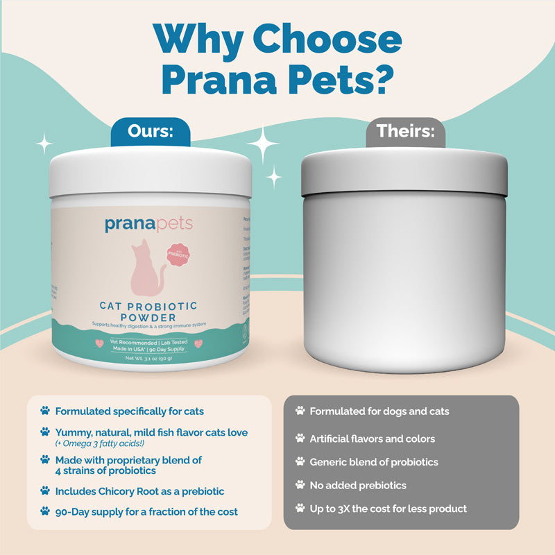 prana pets cat probiotic powder beneficial bacteria for cats and kittens