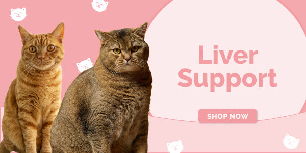 Mobile Collection Banner