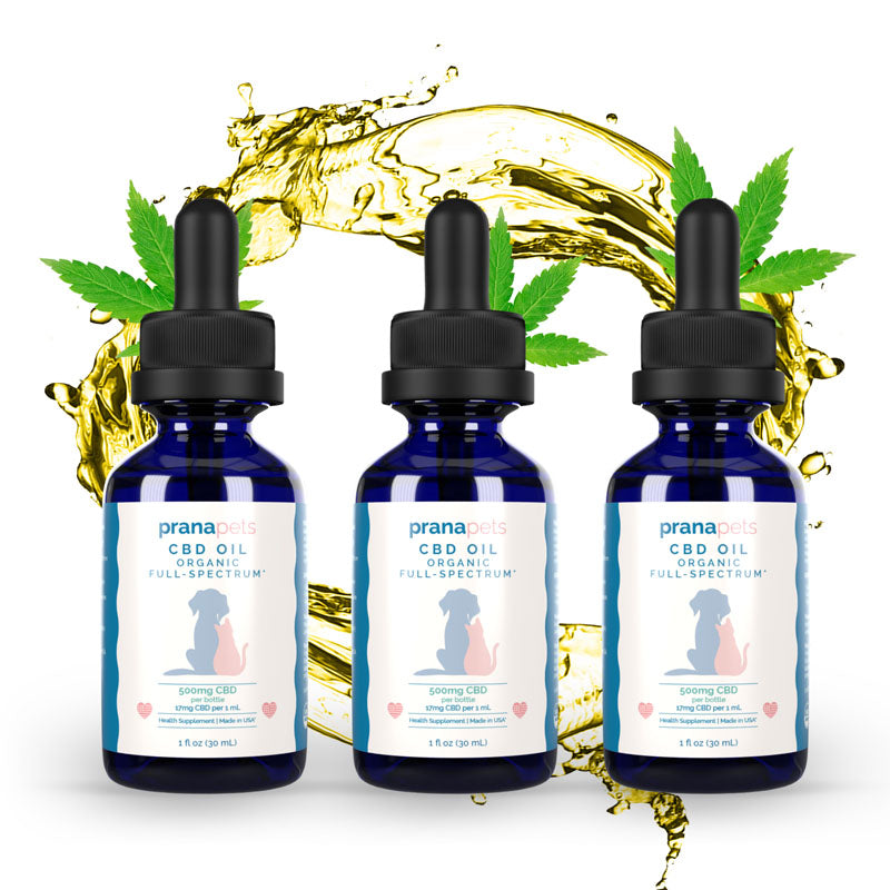 CBD for Pets 3 Pack